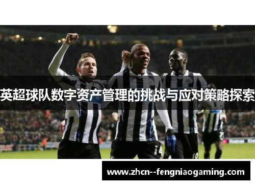 英超球队数字资产管理的挑战与应对策略探索