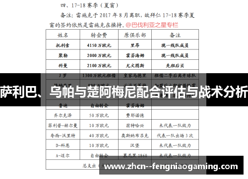 萨利巴、乌帕与楚阿梅尼配合评估与战术分析 萨利巴、乌帕与楚阿梅尼配合评估与战术分析