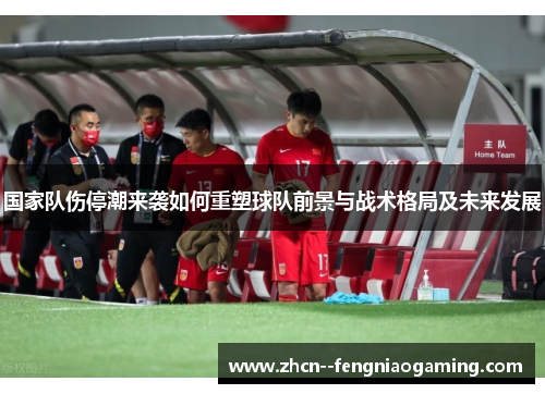 国家队伤停潮来袭如何重塑球队前景与战术格局及未来发展