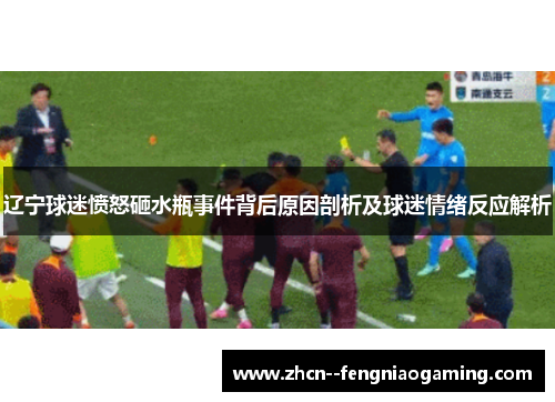 辽宁球迷愤怒砸水瓶事件背后原因剖析及球迷情绪反应解析